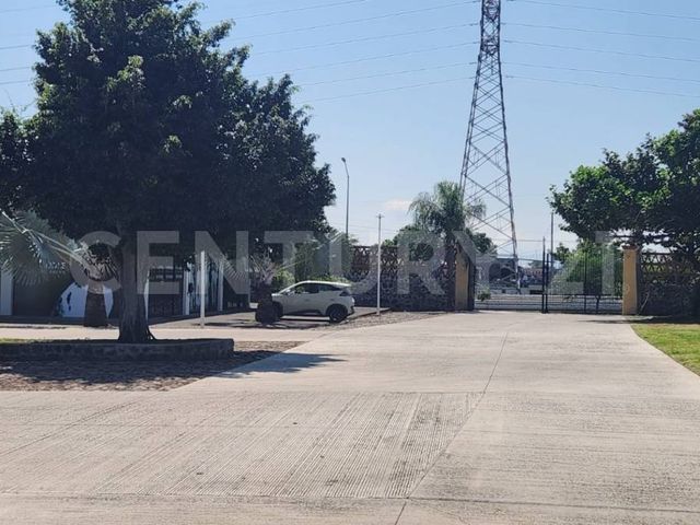 place photo 16
