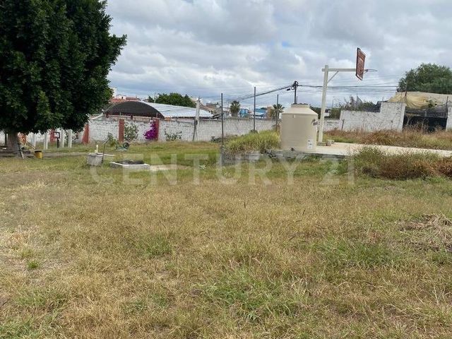place photo 24