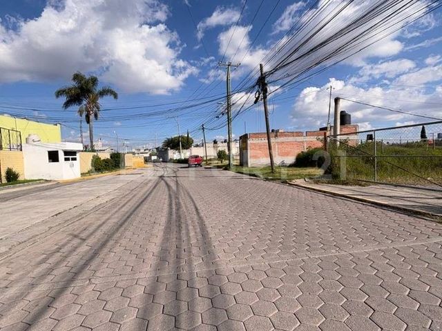 place photo 16