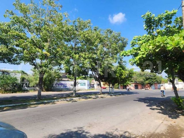 place photo 13