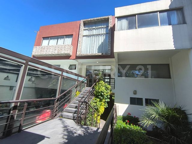place photo 37