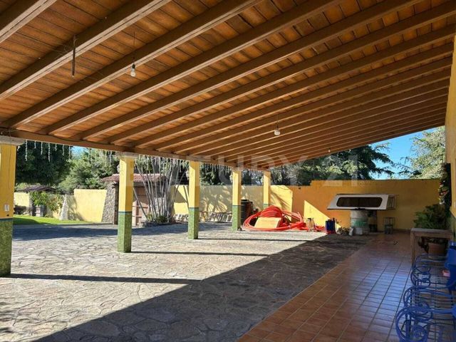 place photo 47
