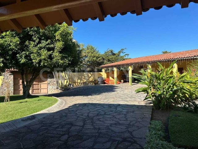 place photo 56