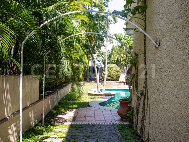 place photo 38
