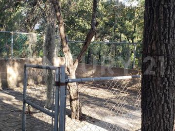 place photo 27