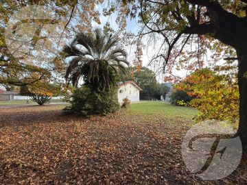place photo 36
