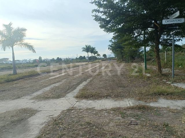 place photo 15