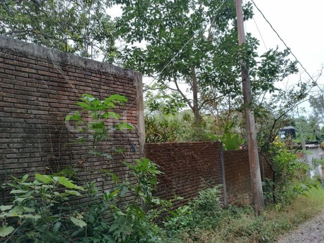 place photo 23