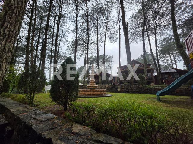 place photo 46