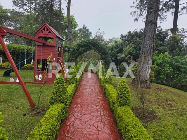 place photo 47