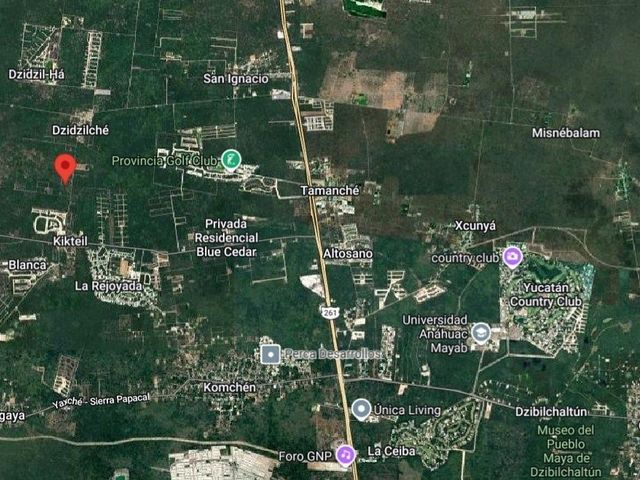place photo 6