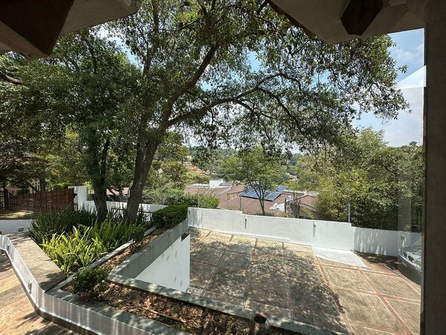 place photo 45
