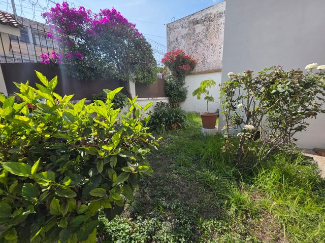 place photo 39
