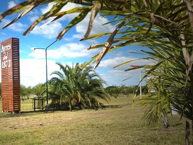 place photo 40