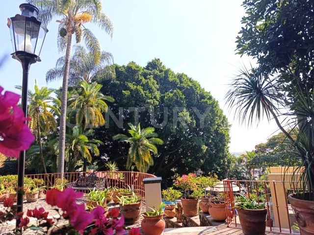 place photo 28