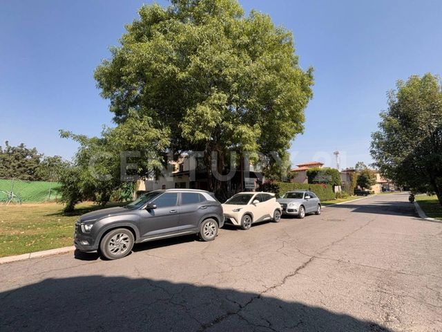 place photo 61
