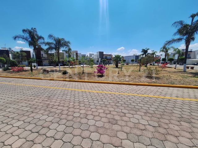place photo 22