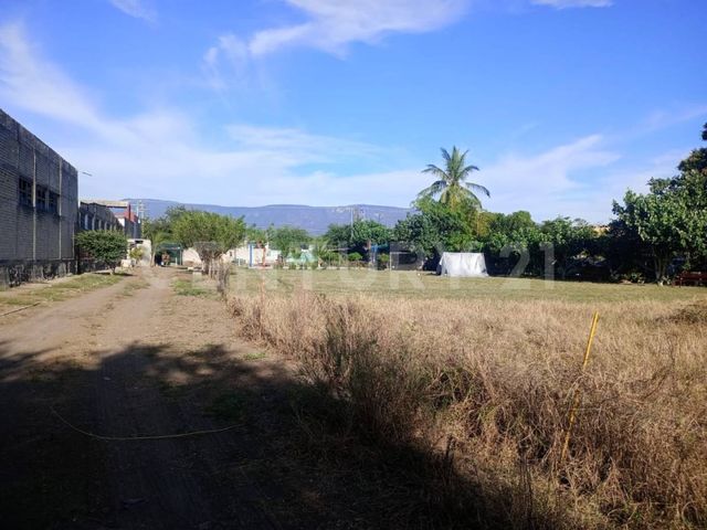 place photo 4