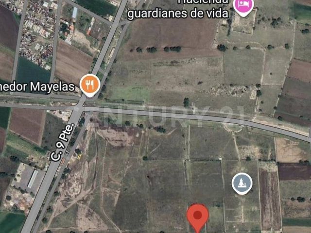 place photo 7
