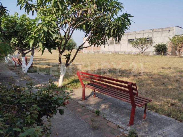 place photo 6