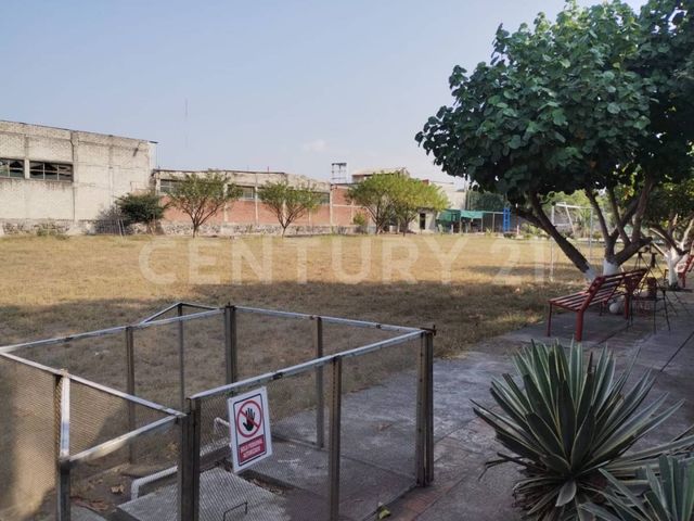 place photo 9