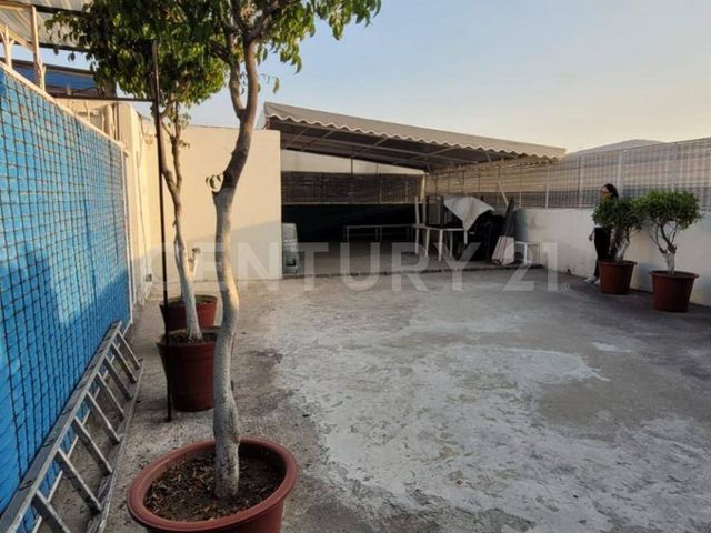 place photo 49