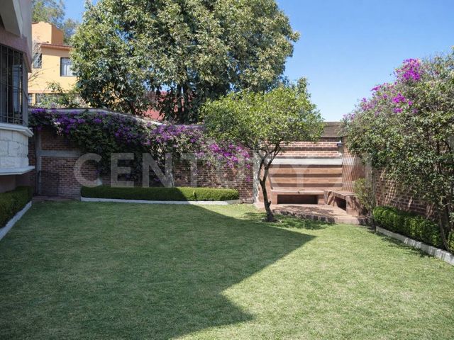 place photo 41