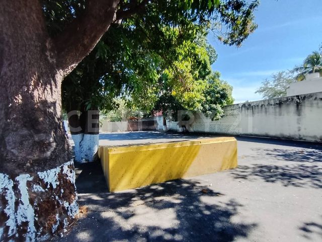 place photo 37