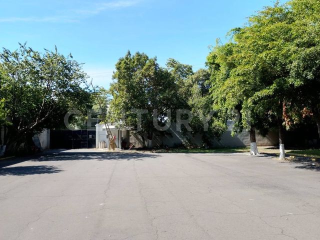 place photo 47