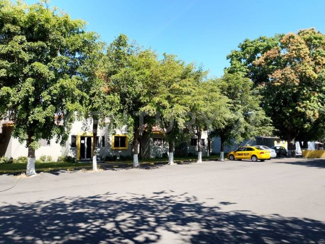 place photo 45