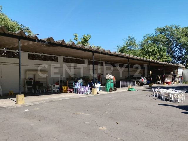 place photo 41