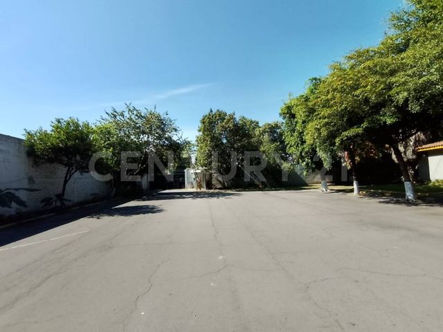 place photo 44