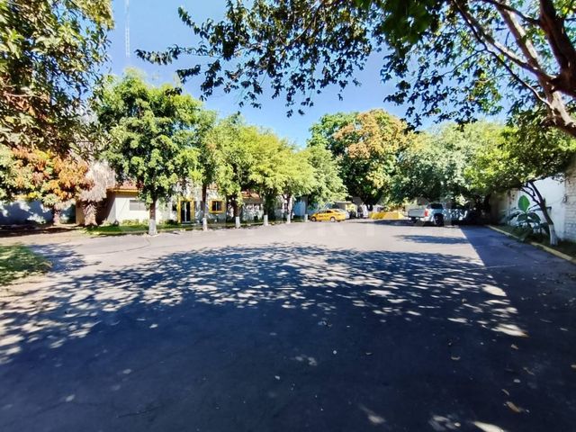place photo 46