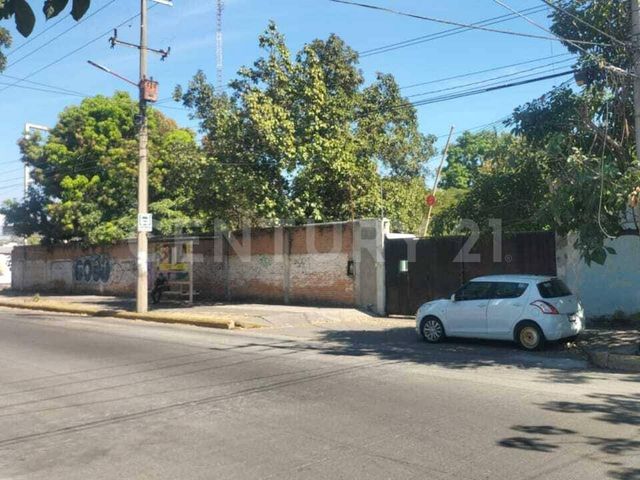 place photo 36