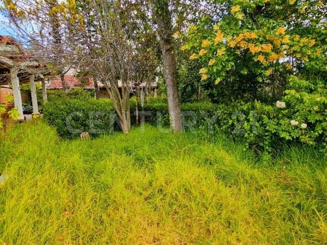 place photo 53