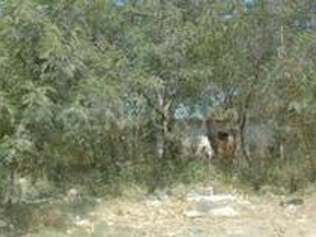 TERRENO EN RENTA, COL ANDRES CABALLERO, ESCOBEDO, N.L.
