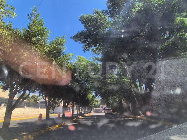 place photo 24