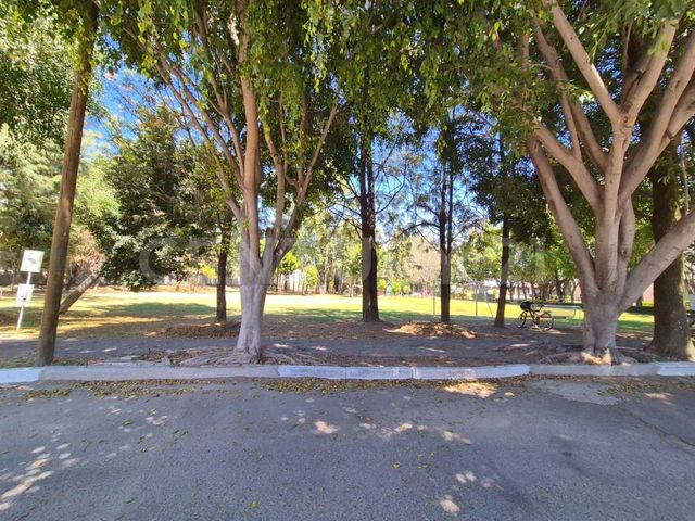 place photo 18