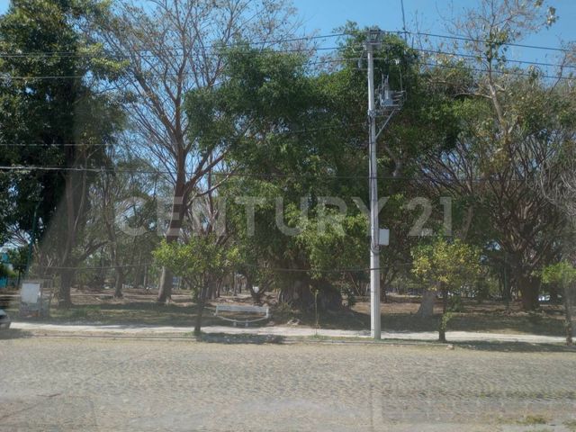 place photo 14