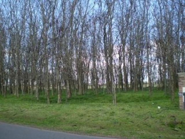 place photo 37