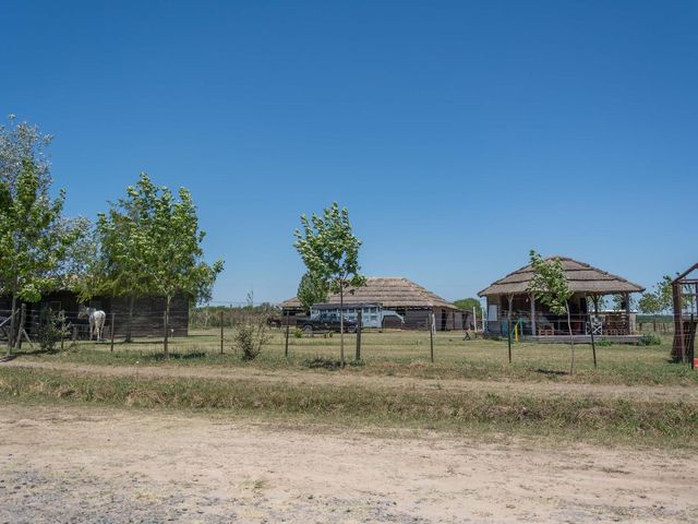 place photo 59