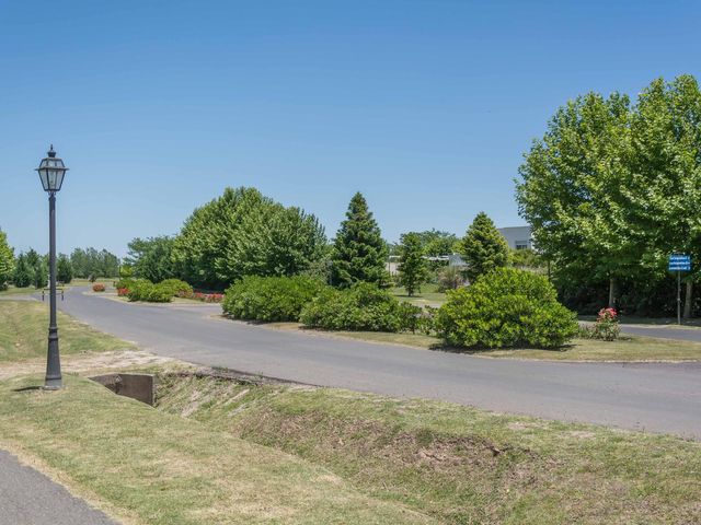 place photo 61