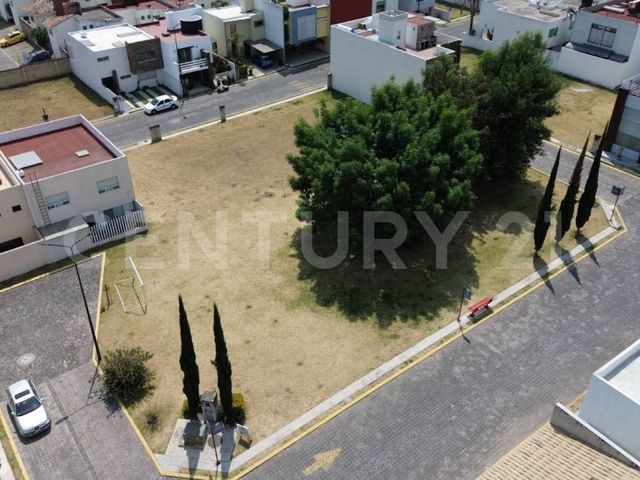 place photo 34