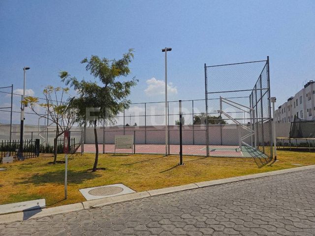 place photo 19