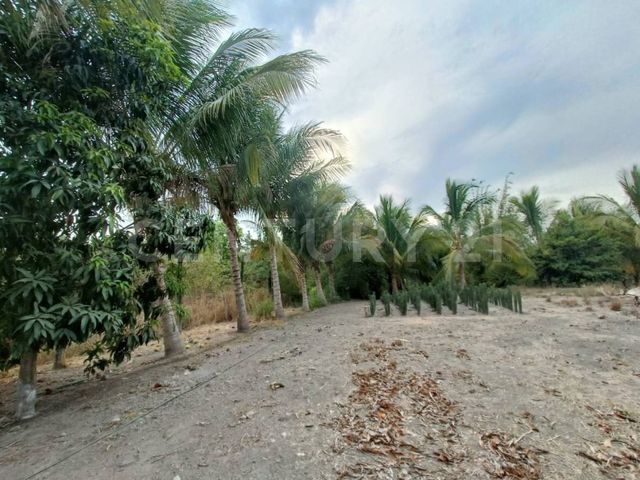 place photo 29