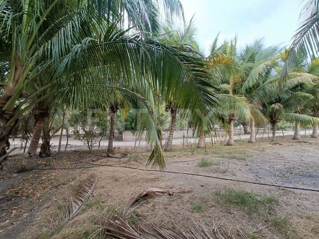 place photo 31