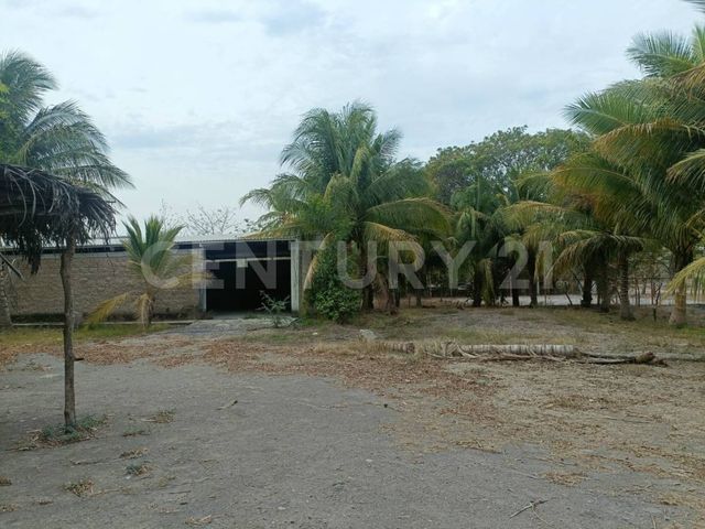 place photo 21