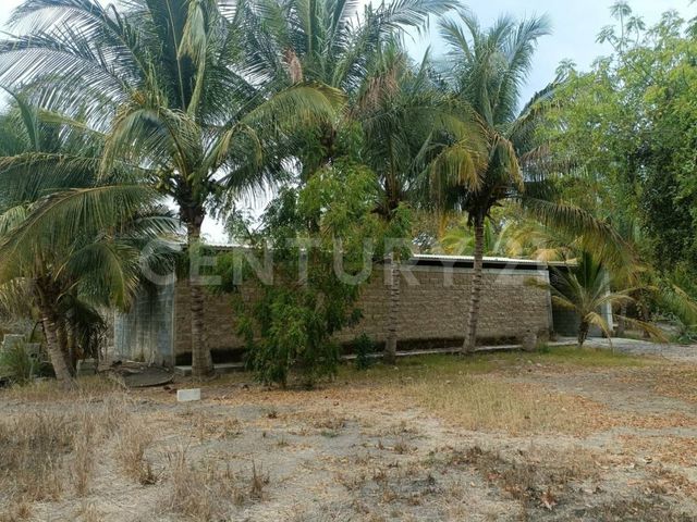 place photo 19
