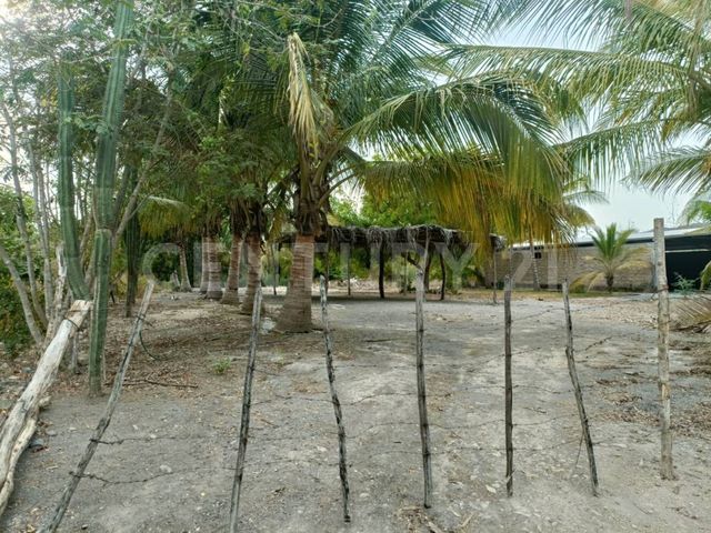 place photo 18