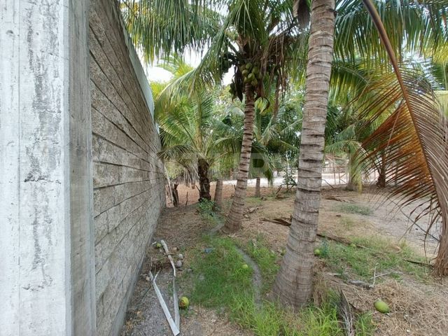 place photo 14